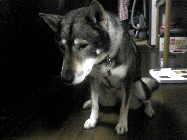 f0079202_22594397.jpg