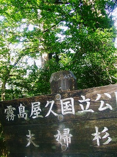 d0137903_22123491.jpg