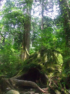 d0137903_2214597.jpg