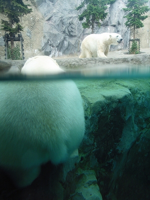 f0195204_20563669.jpg