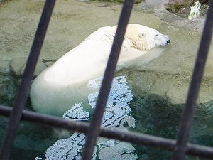 f0195204_2058845.jpg