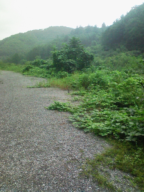 b0019909_20513694.jpg