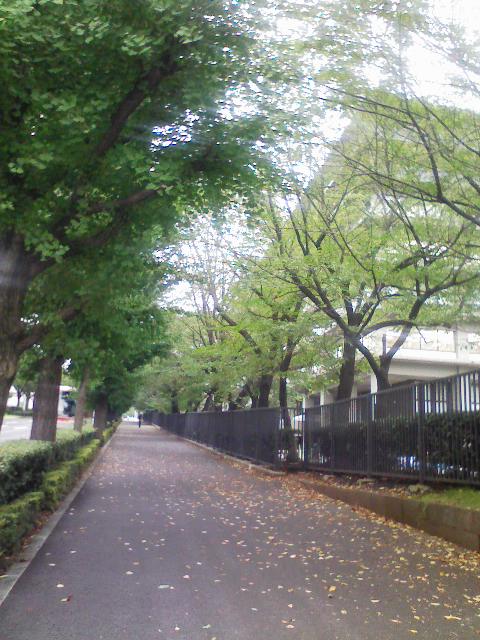 e0009714_1730113.jpg