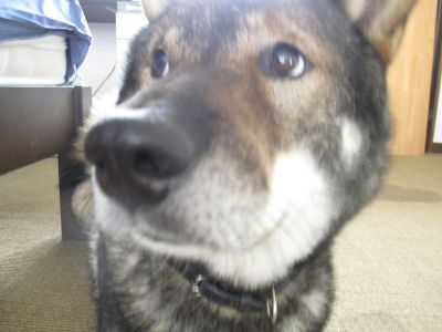 f0143123_20225868.jpg