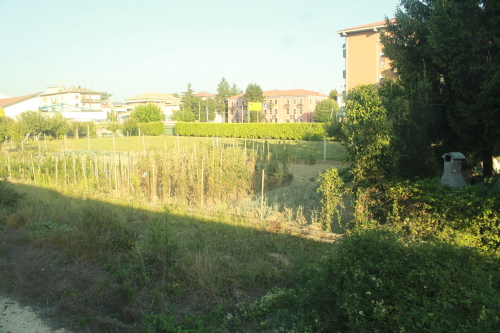b0169024_262314.jpg