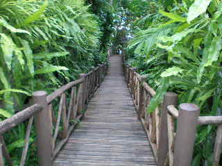 c0095424_9521880.jpg