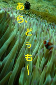 b0129725_221421100.jpg