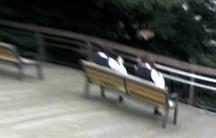d0000025_17441175.jpg