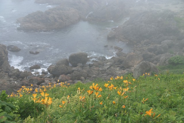 c0027027_16464118.jpg