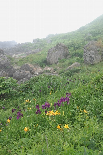 c0027027_17133943.jpg