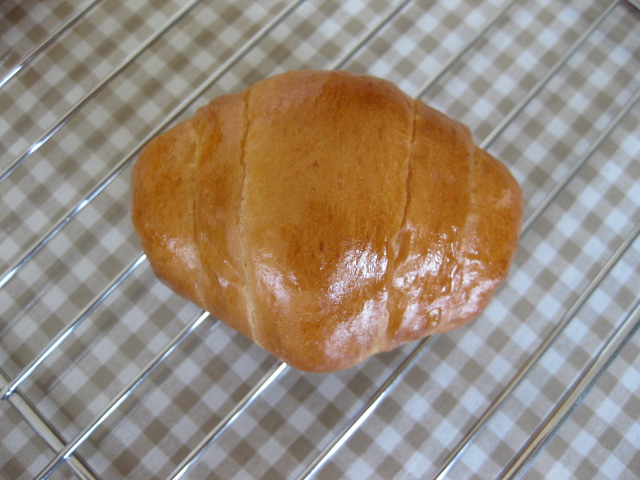 b0170128_16145025.jpg