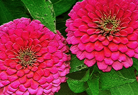 c0184737_23505198.jpg