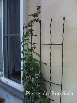 f0204440_112728.jpg