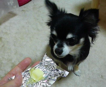 c0121141_138331.jpg