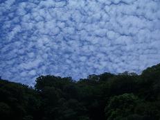 b0098660_187596.jpg