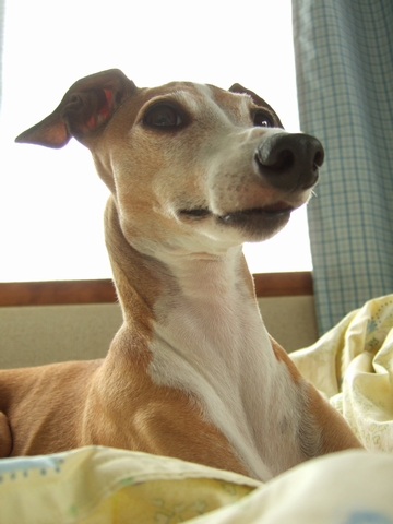 f0158862_2014969.jpg
