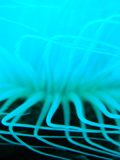 b0062363_2238442.jpg