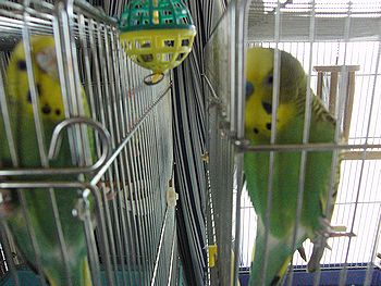 f0196665_0101641.jpg