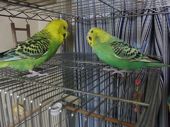 f0196665_013991.jpg