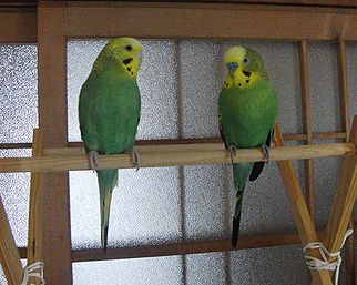 f0196665_07291.jpg