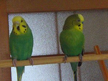 f0196665_09935.jpg