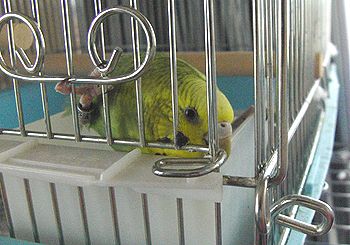 f0196665_23341373.jpg