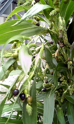f0177670_10584160.jpg