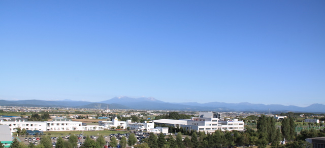 e0133273_2232162.jpg