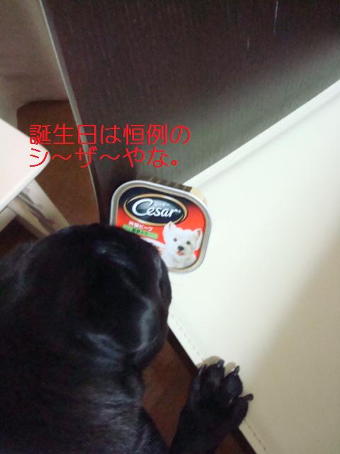 e0134873_2310456.jpg