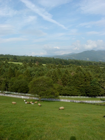 a0091680_15351368.jpg