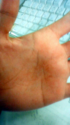 c0107180_2027522.jpg