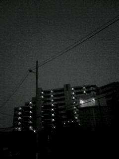 f0100480_21141050.jpg