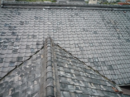 b0183781_1251230.jpg