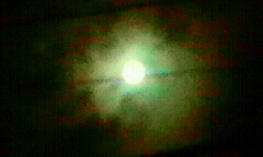 f0016981_0534046.jpg