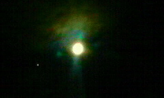 f0016981_0535821.jpg