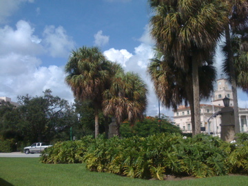 f0174481_3413539.jpg