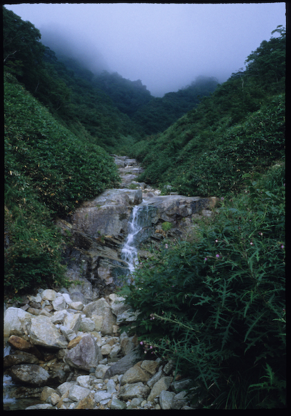 a0053783_0163293.jpg
