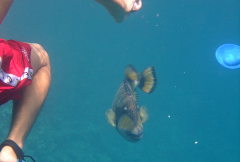 c0163383_1273466.jpg