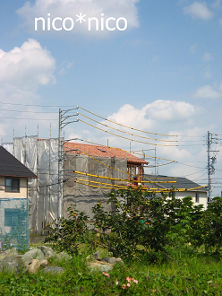 f0060585_13184073.jpg