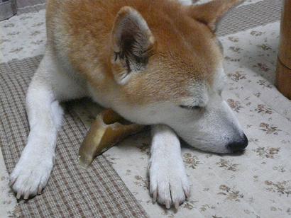 c0123890_2151999.jpg