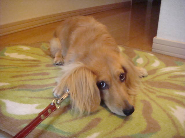 d0098295_23582191.jpg