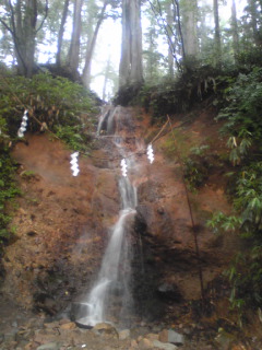 a0090996_9471555.jpg