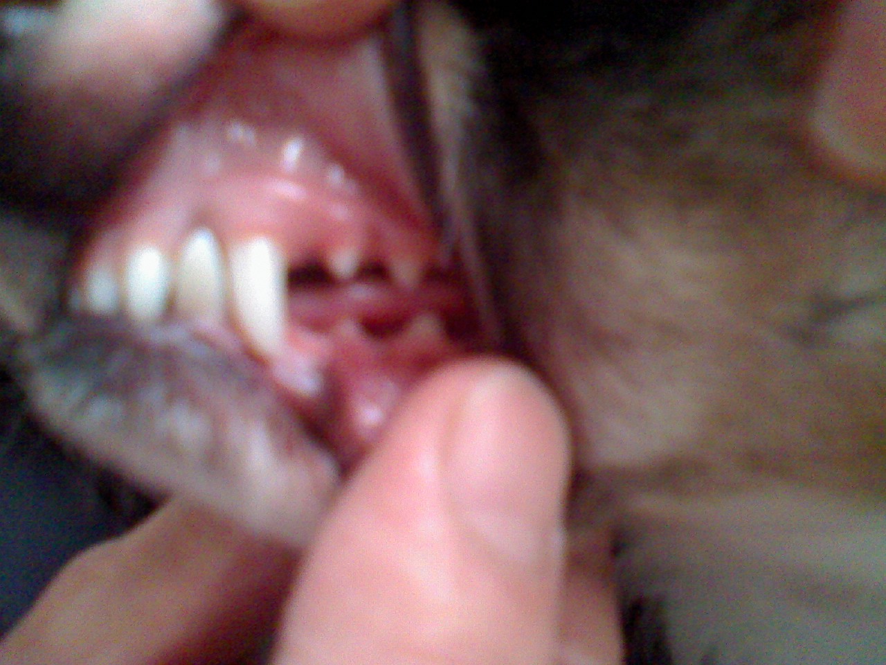 a0133999_07560.jpg