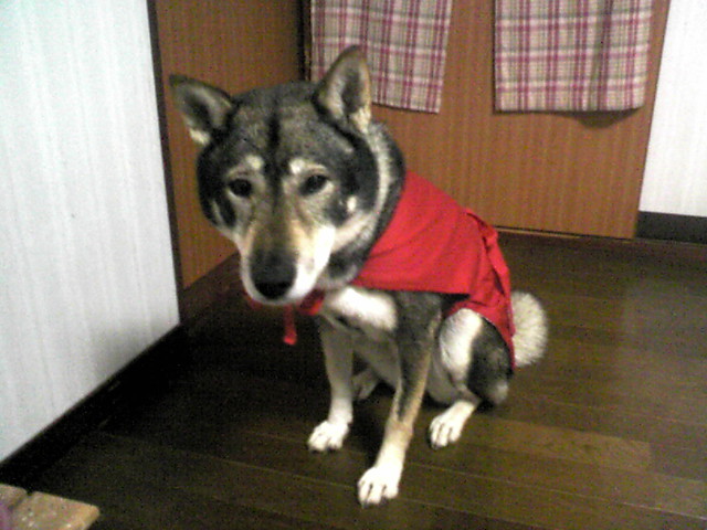 f0079202_161689.jpg