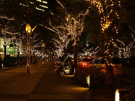 a0041508_17431623.jpg