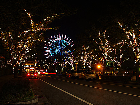a0041508_17433633.jpg