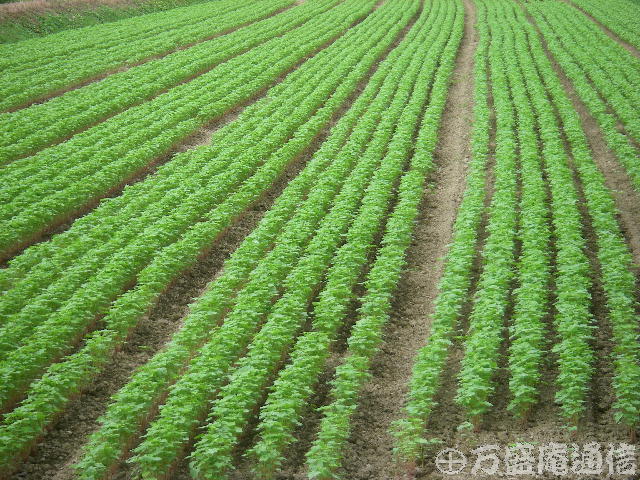 b0172209_8393884.jpg