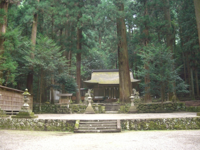 d0007913_8465896.jpg