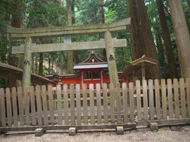 d0007913_847149.jpg