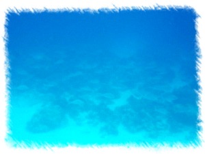 b0089616_11441974.jpg